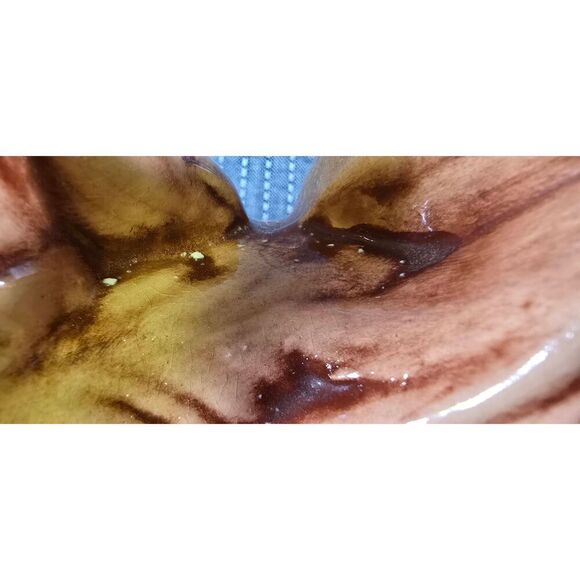 Vintage Porcelain Pekingese Dog - Picture 5 of 11